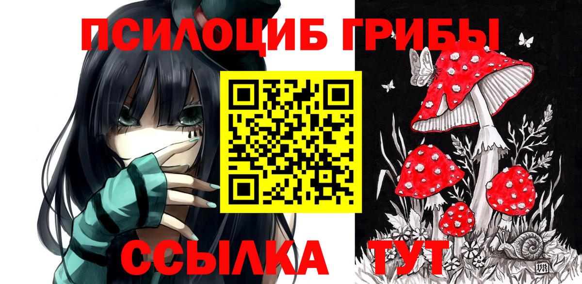 Зеленодольск  Псилоцибиновые грибы ЛСД  Галлюциногенные грибы ЛСД  Вход с VPN 